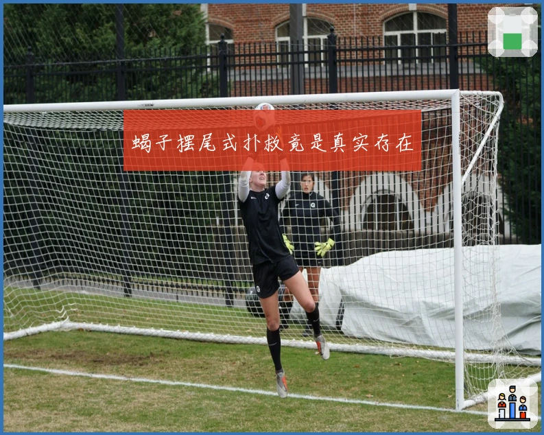 蝎子摆尾式扑救竟是真实存在